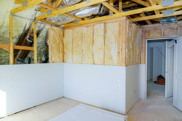 Types of Insulation We Offer in De Leon Springs, FL