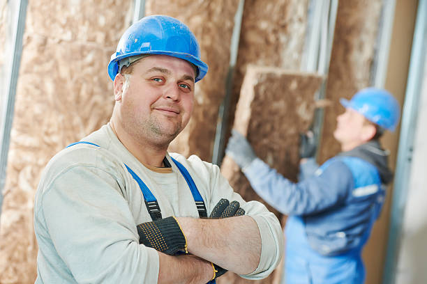 Best Insulation Maintenance and Repair in De Leon Springs, FL
